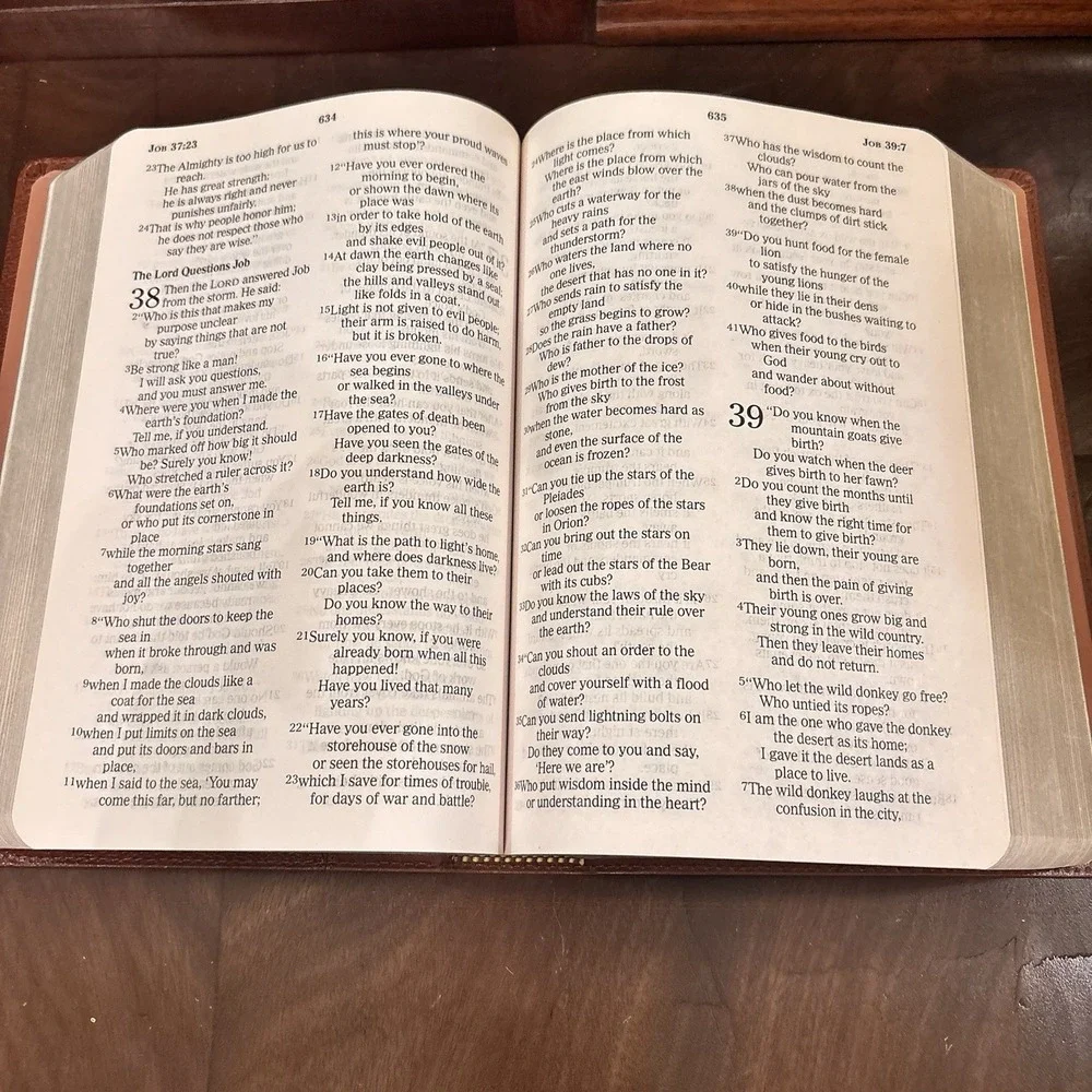 NCV Giant Print Holy Bible New Century Version Brown Leather Thomas Nelson 2007